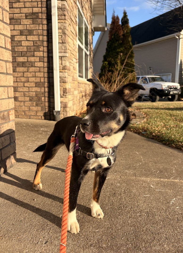 Screenshot 2026-02-26 at 2.27.34 PM.png