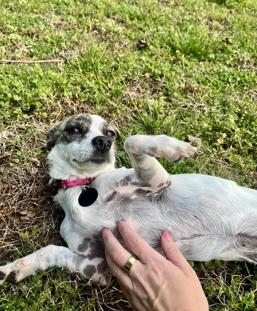 Screenshot 2026-04-22 at 3.25.12 PM.png