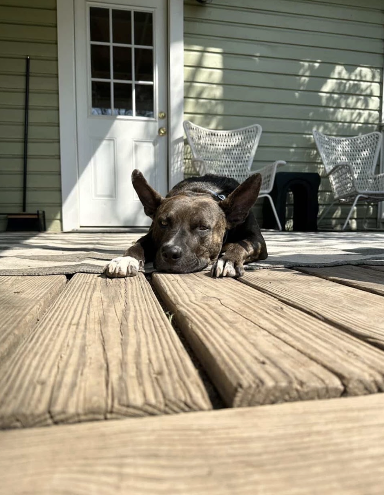 Screenshot 2026-04-22 at 4.41.34 PM.png