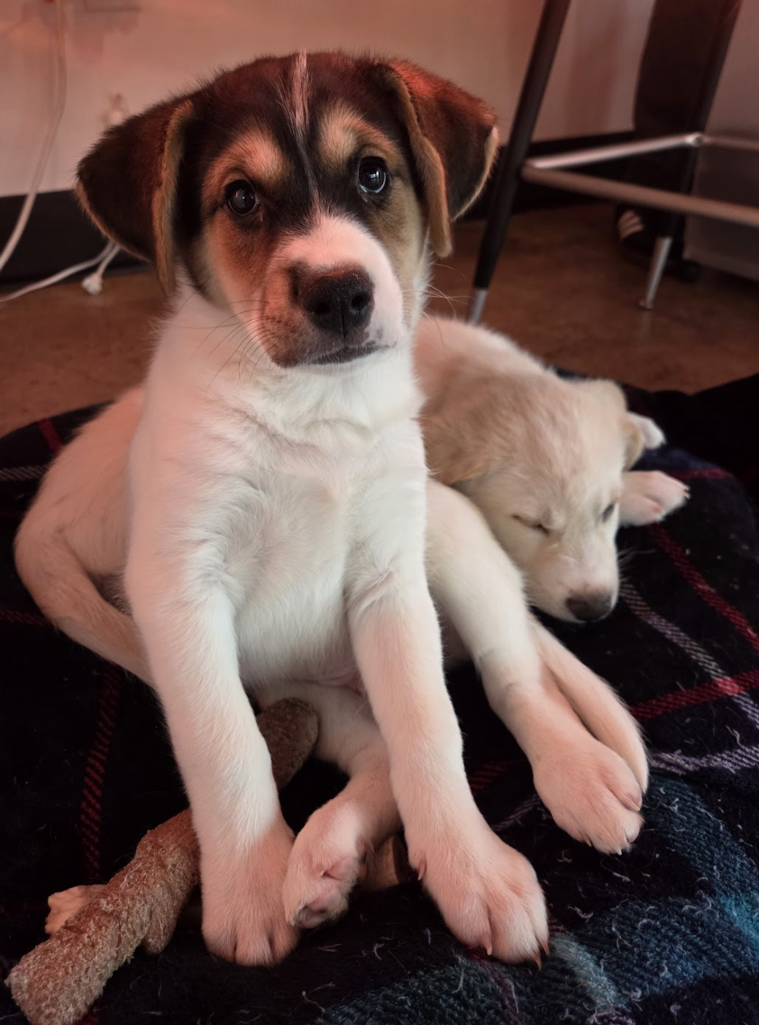 Screenshot 2026-01-14 at 6.33.31 PM.png