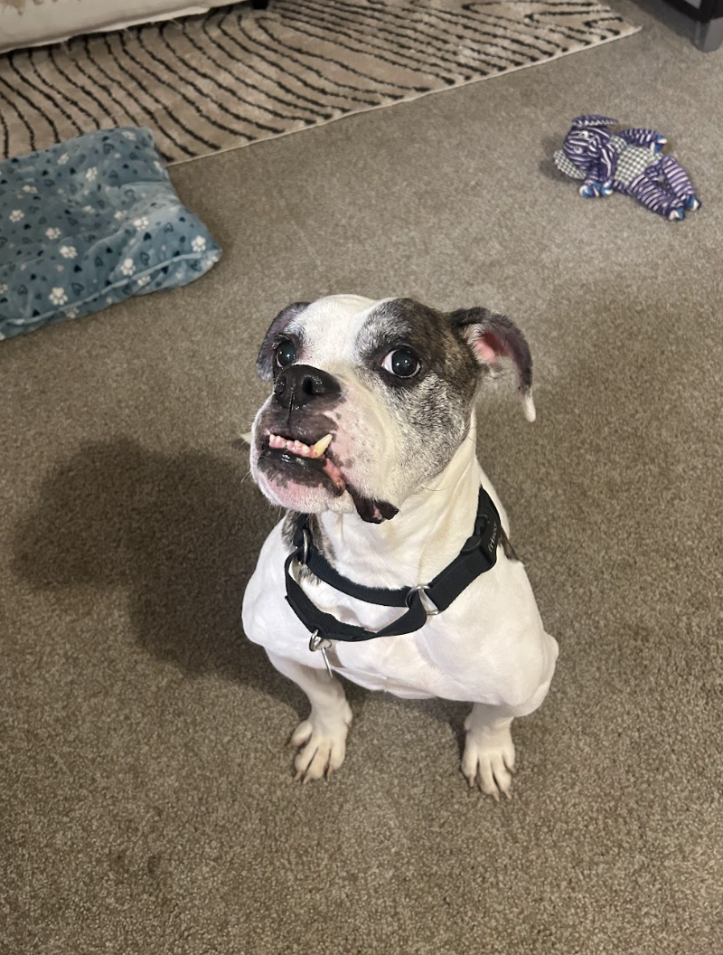 Screenshot 2026-01-15 at 7.40.23 PM.png