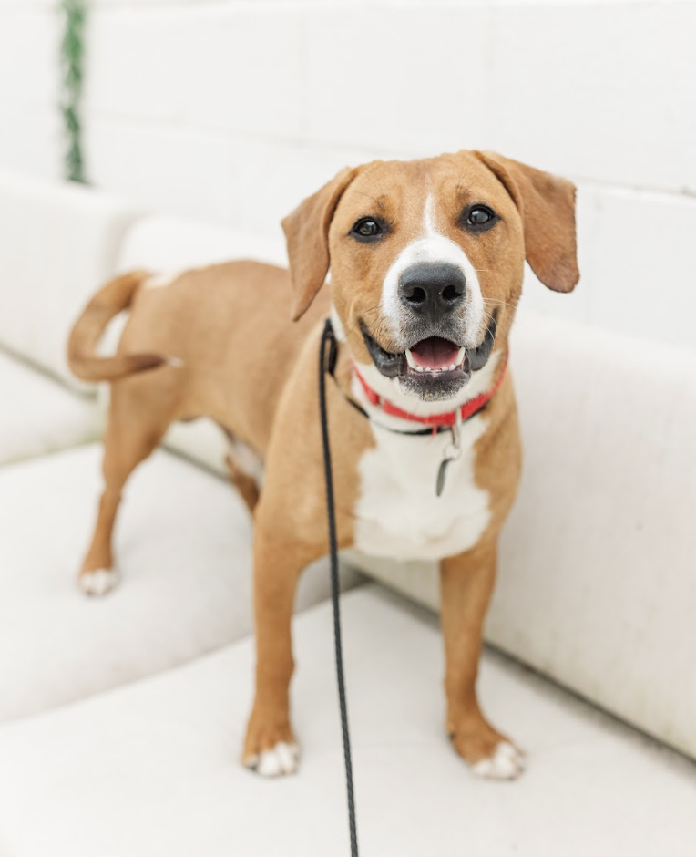 Screenshot 2026-03-20 at 4.11.42 PM.png