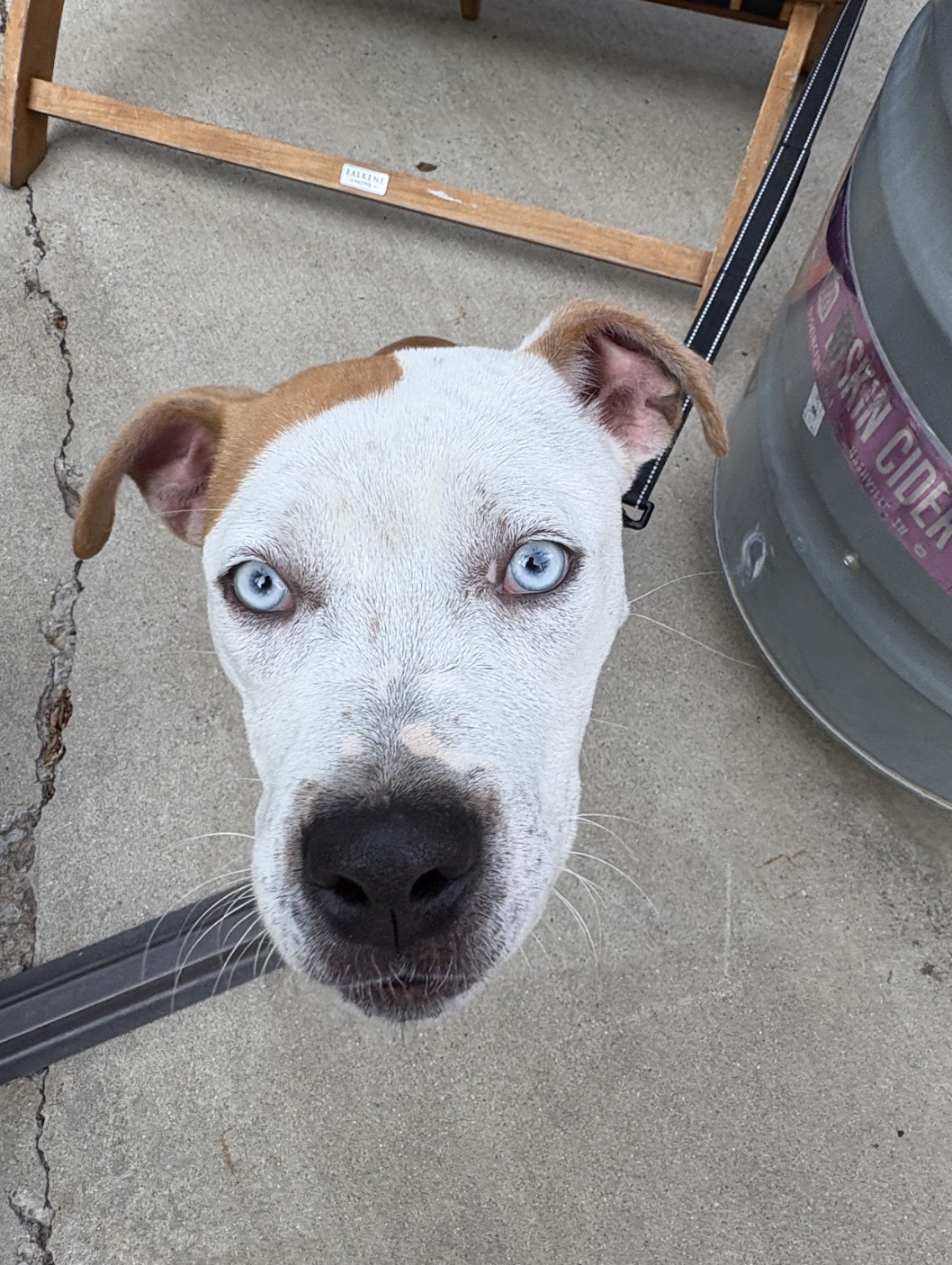 Screenshot 2025-10-16 at 5.01.37 PM.png