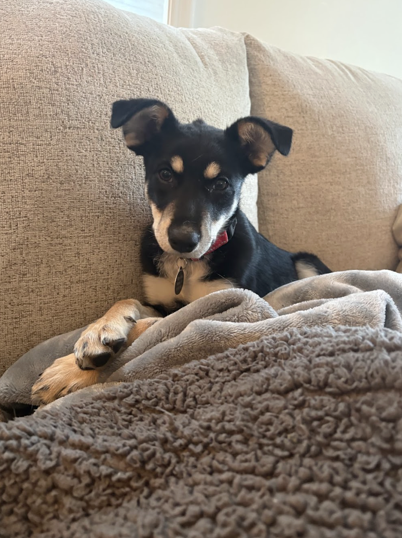 Screenshot 2026-04-29 at 1.49.59 PM.png