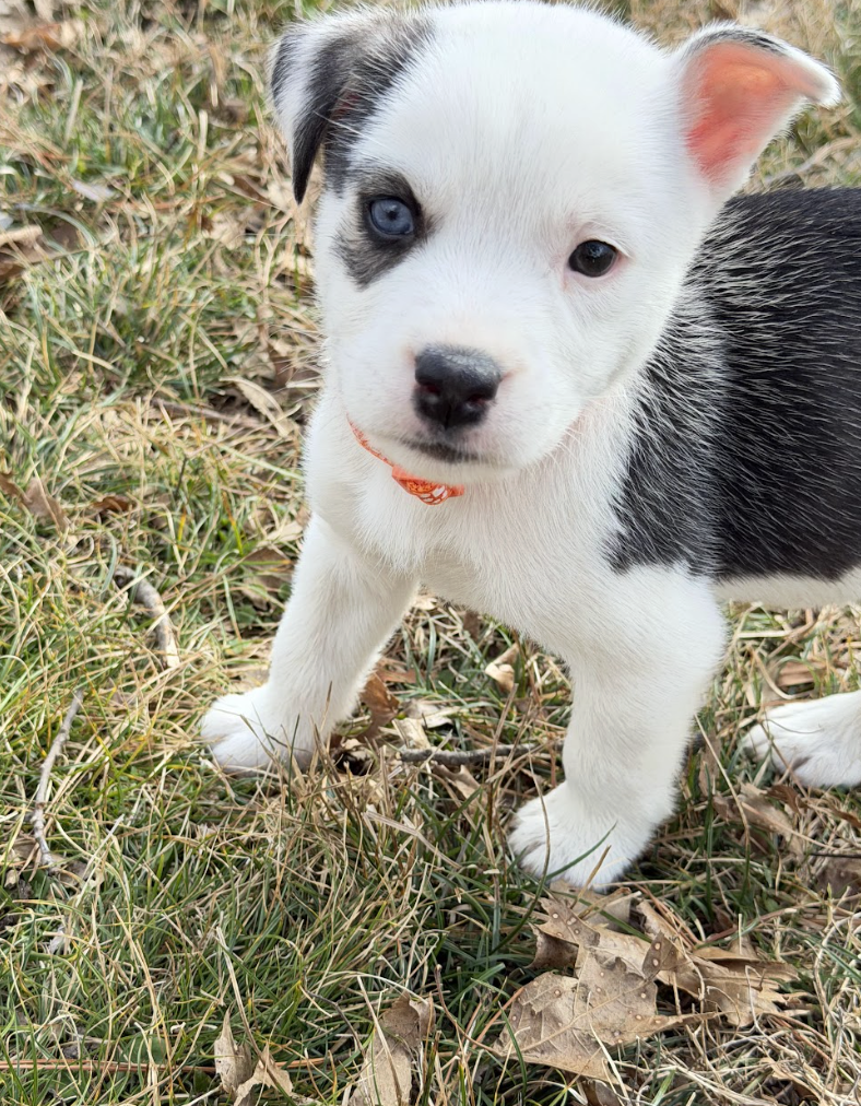 Screenshot 2026-01-15 at 7.43.53 PM.png