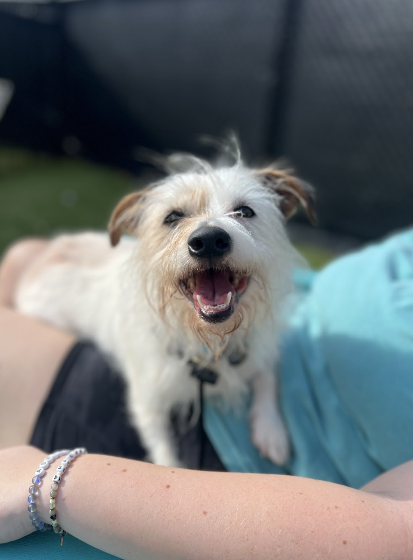 Screenshot 2026-03-10 at 9.16.47 PM.png