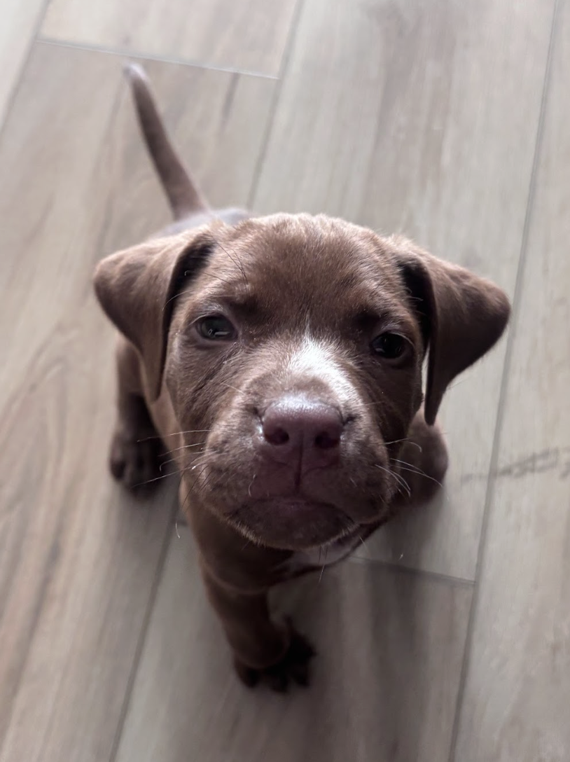 Screenshot 2026-03-26 at 3.13.29 PM.png