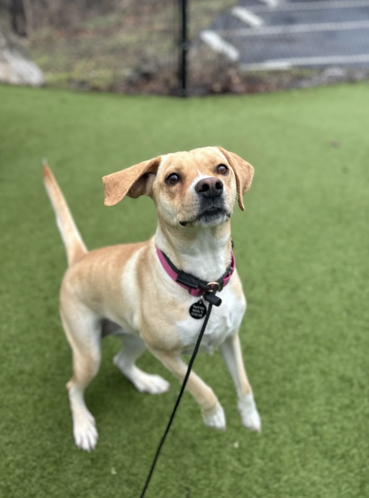 Screenshot 2026-02-05 at 2.22.44 PM.png