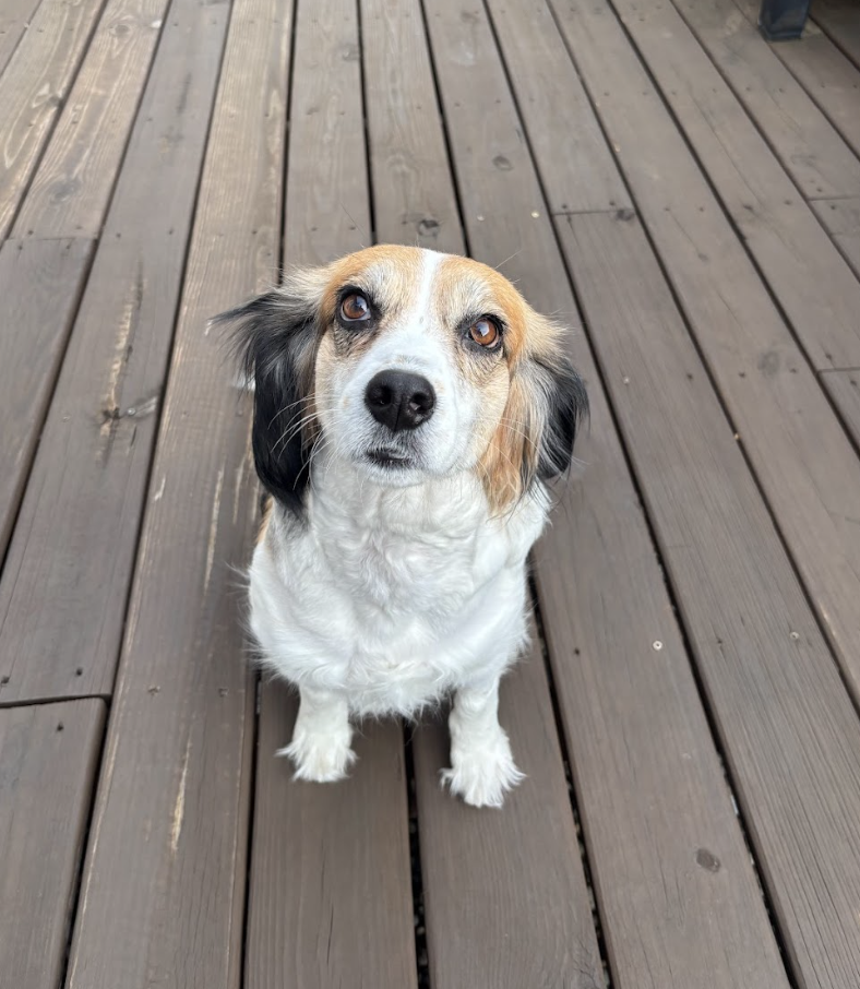 Screenshot 2026-03-17 at 12.00.54 PM.png