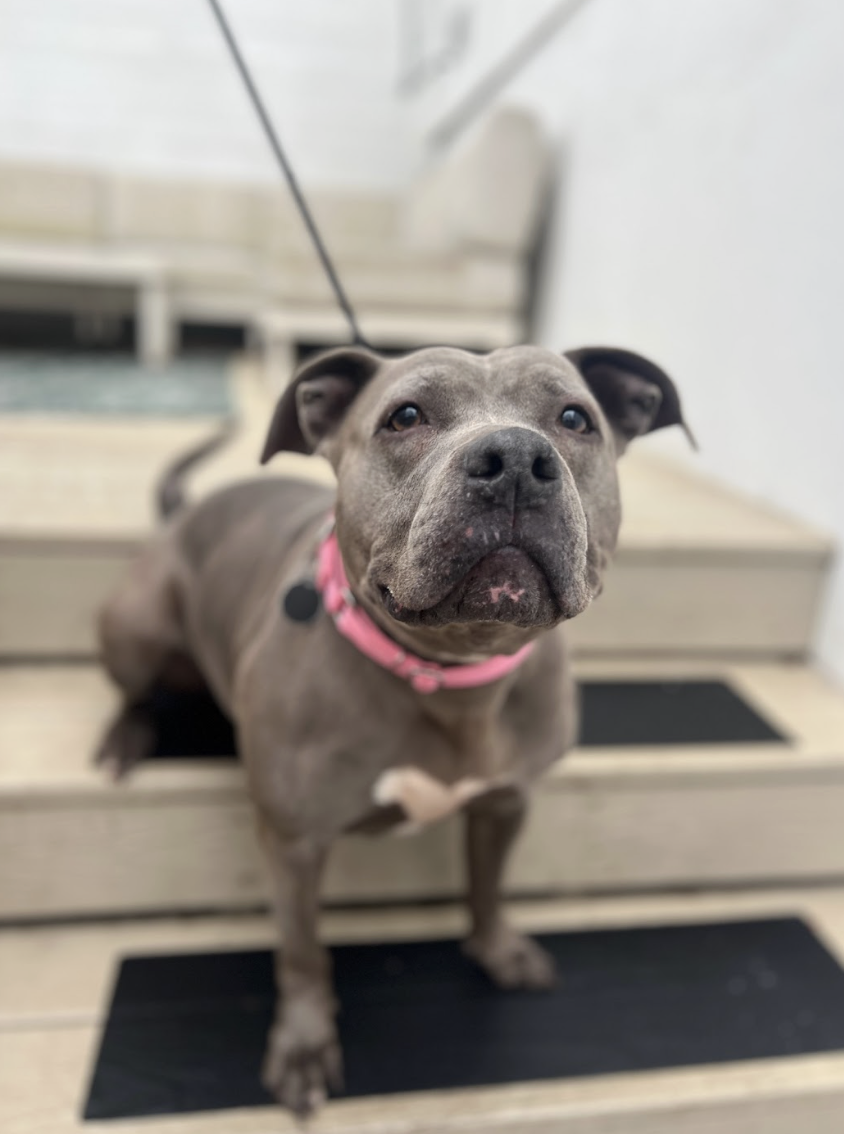 Screenshot 2026-01-15 at 1.37.46 PM.png