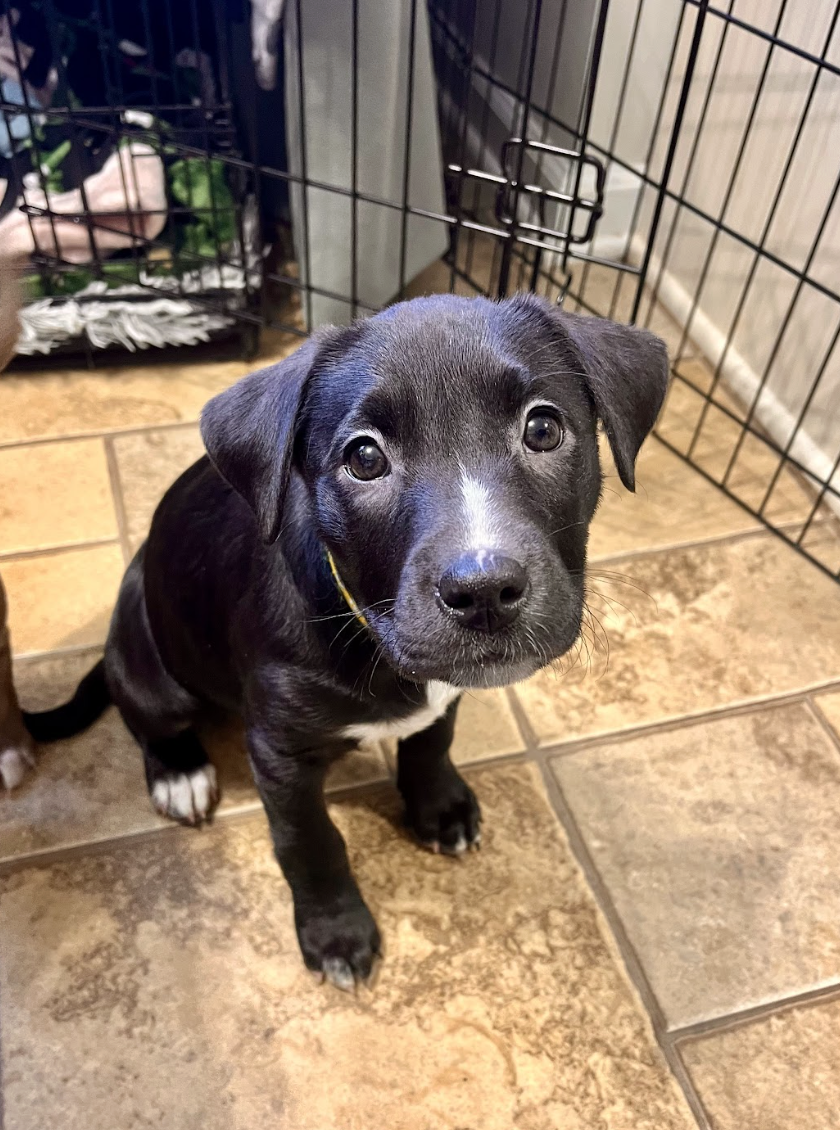 Screenshot 2026-01-07 at 1.16.29 PM.png