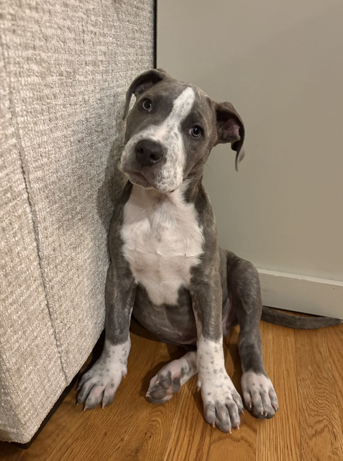 Screenshot 2025-12-21 at 12.18.23 PM.png