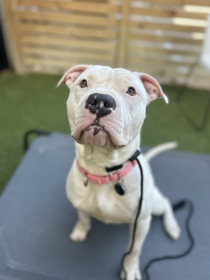 Screenshot 2026-04-23 at 1.40.09 PM.png