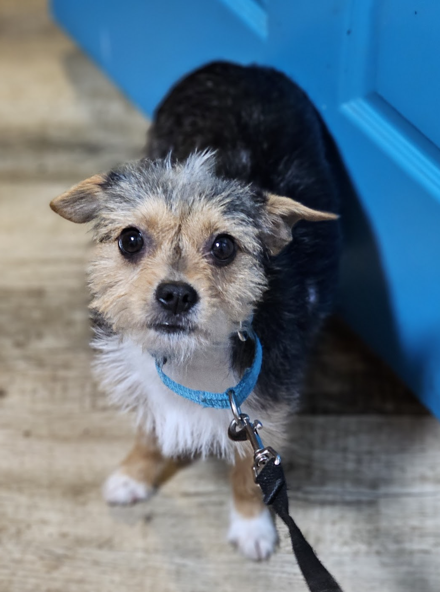 Screenshot 2026-01-06 at 1.35.12 PM.png