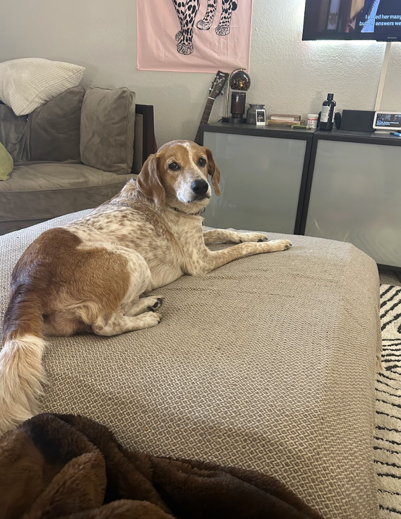 Screenshot 2026-03-11 at 8.36.03 PM.png