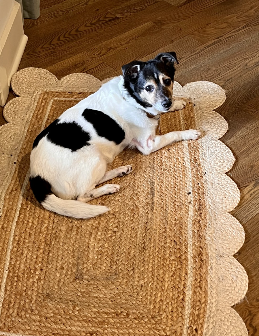 Screenshot 2026-01-14 at 9.32.41 PM.png