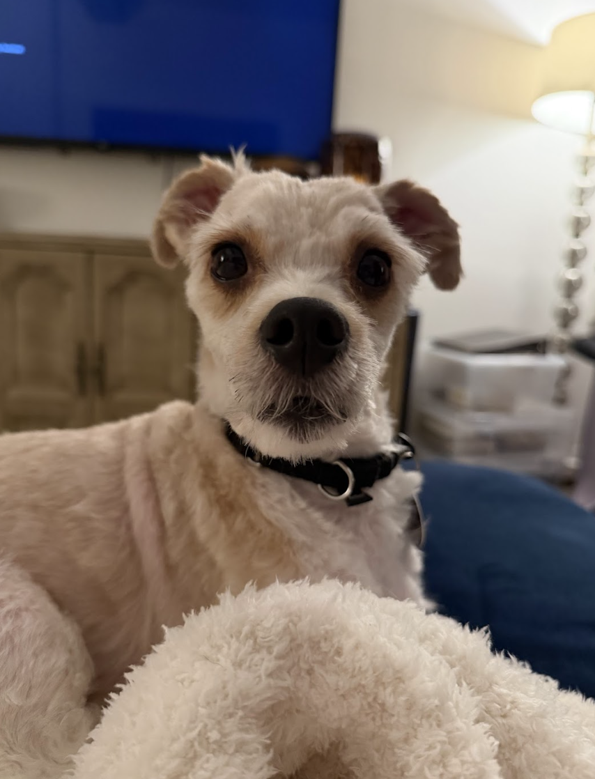 Screenshot 2026-04-16 at 7.08.55 PM.png