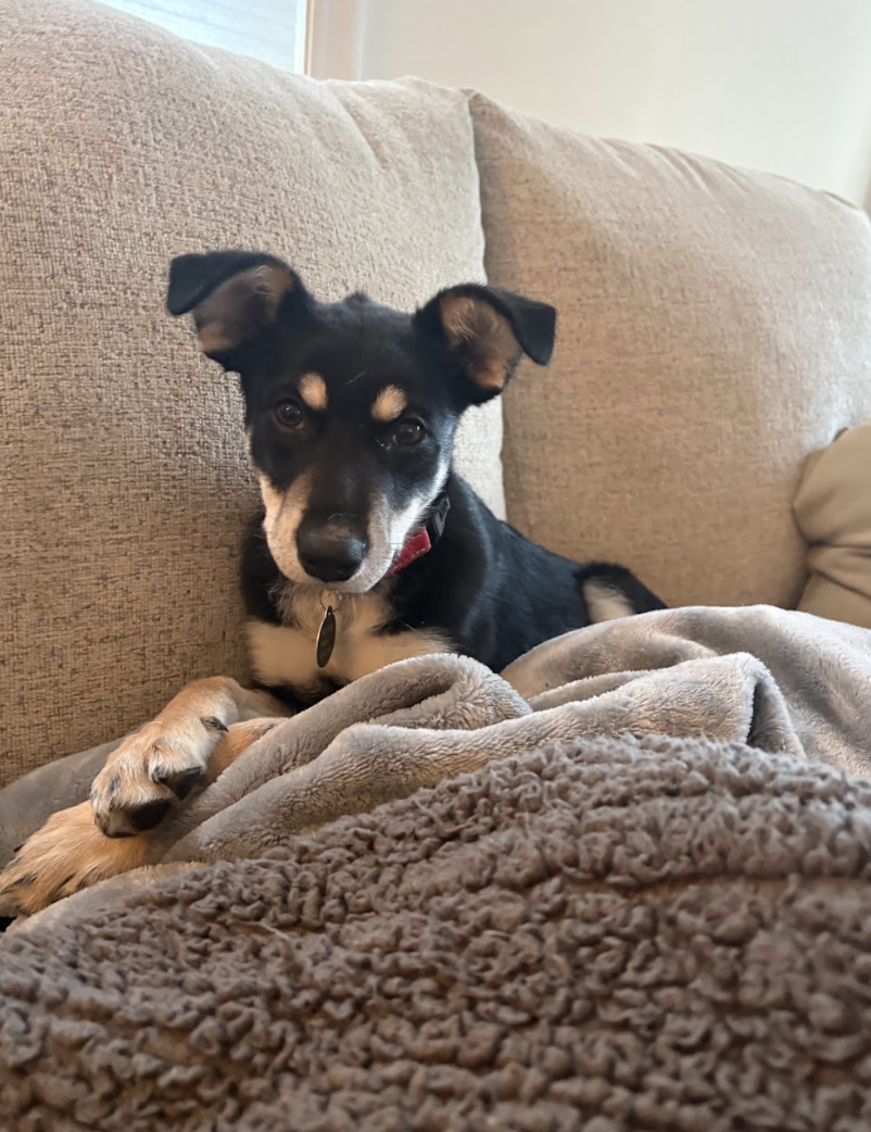 Screenshot 2026-04-29 at 1.49.52 PM.png