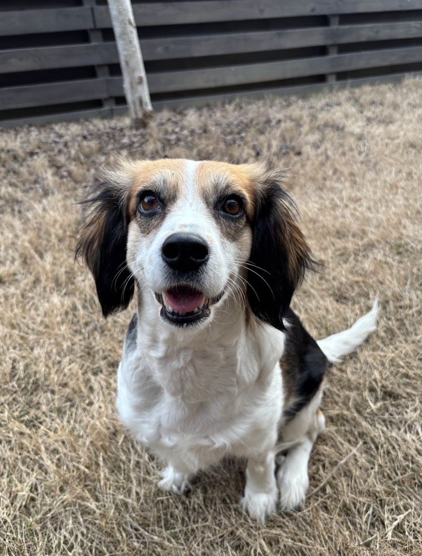 Screenshot 2026-03-17 at 11.59.13 AM.png