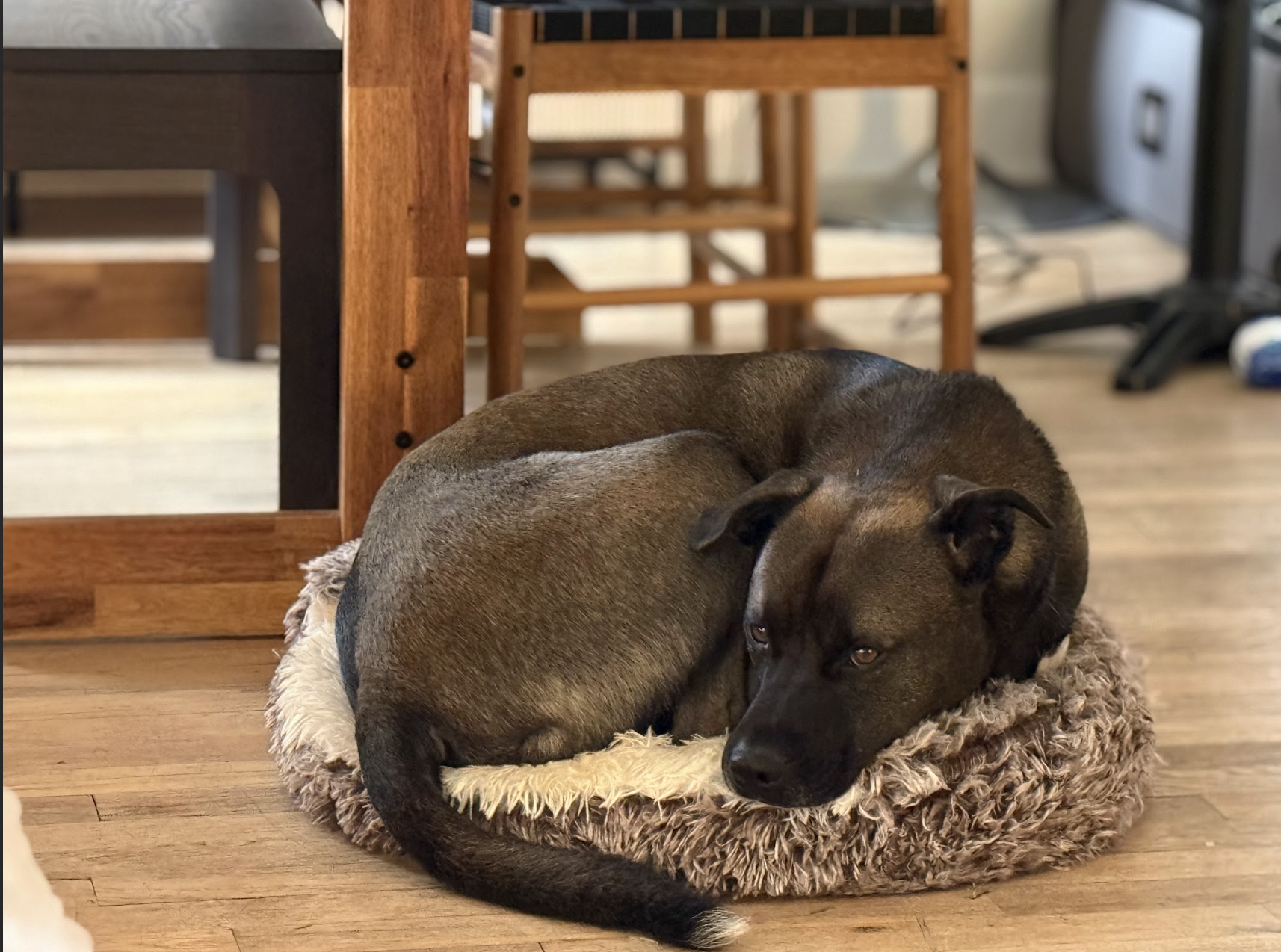 Screenshot 2025-12-30 at 6.35.19 PM.png