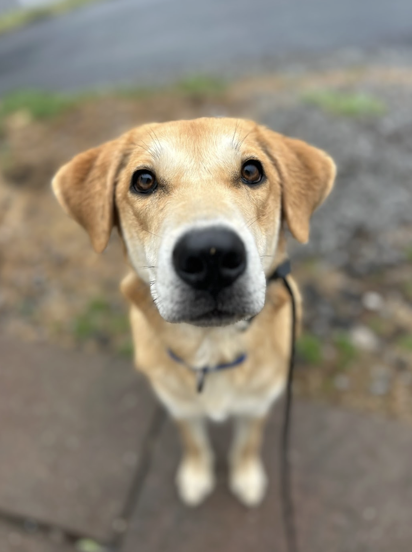 Screenshot 2026-02-19 at 3.51.21 PM.png