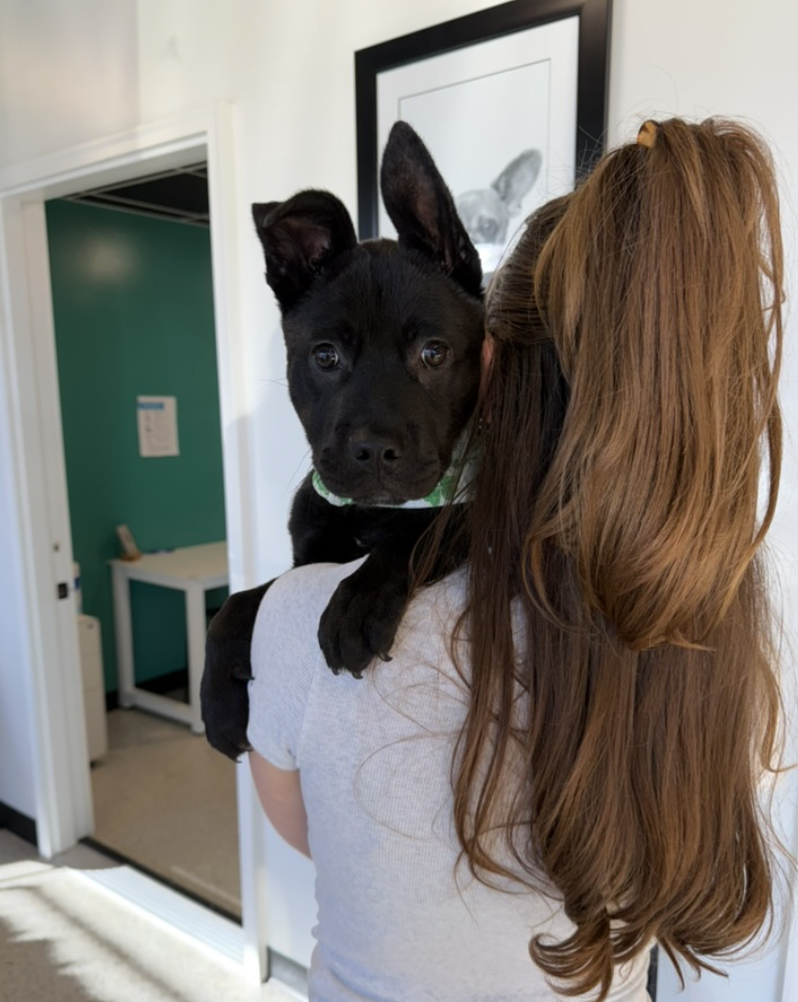 Screenshot 2026-04-03 at 1.50.49 PM.png