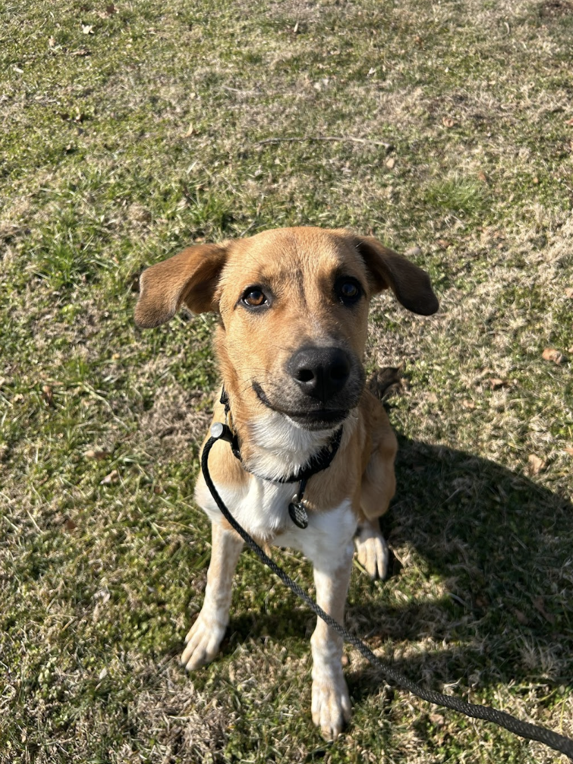 Screenshot 2026-02-12 at 3.08.07 PM.png