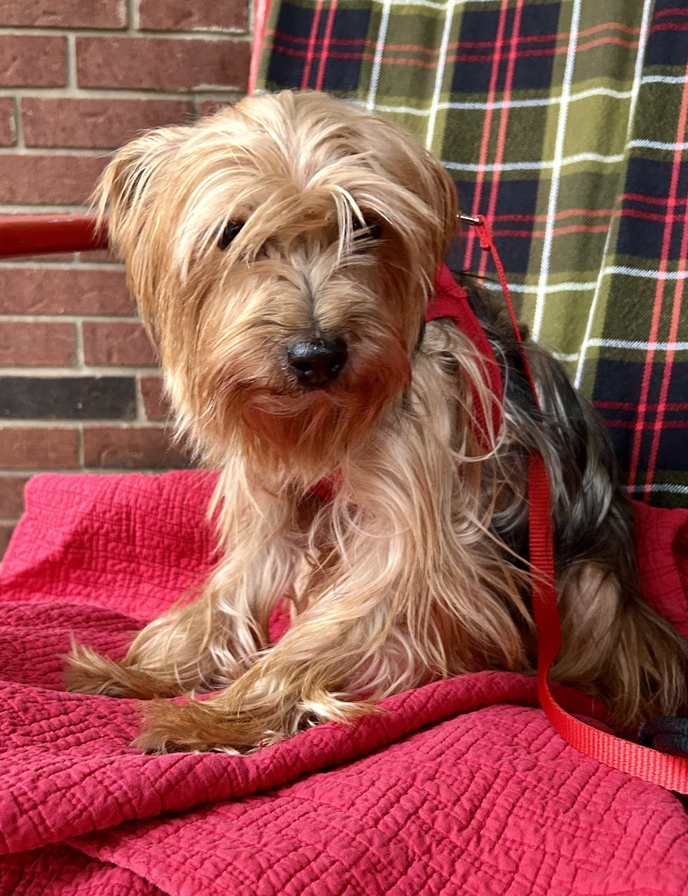 Screenshot 2025-12-26 at 5.08.58 PM.png