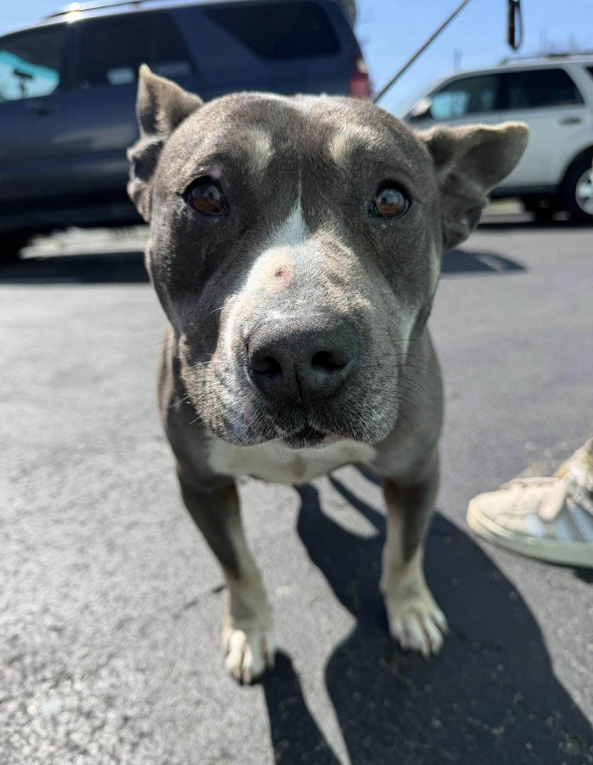 Screenshot 2026-03-26 at 2.15.34 PM.png