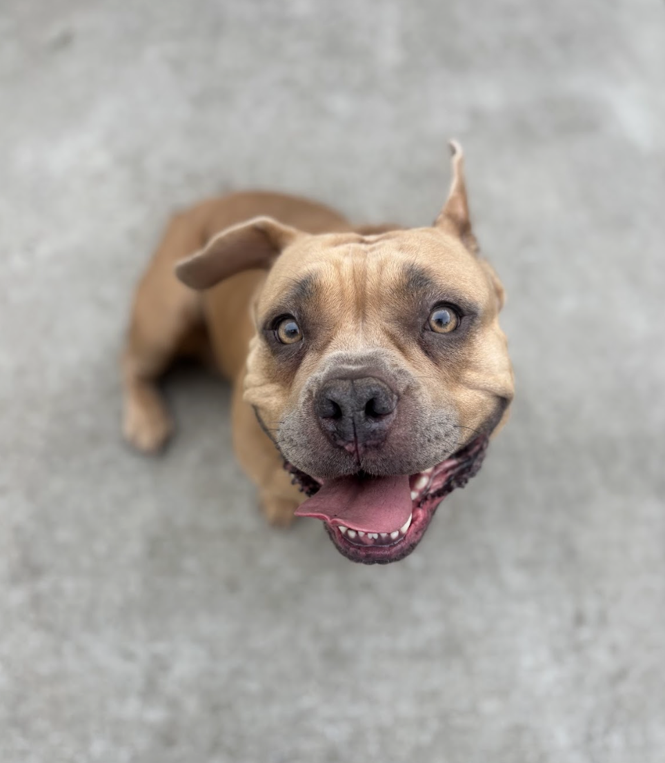 Screenshot 2026-02-16 at 6.10.48 PM.png