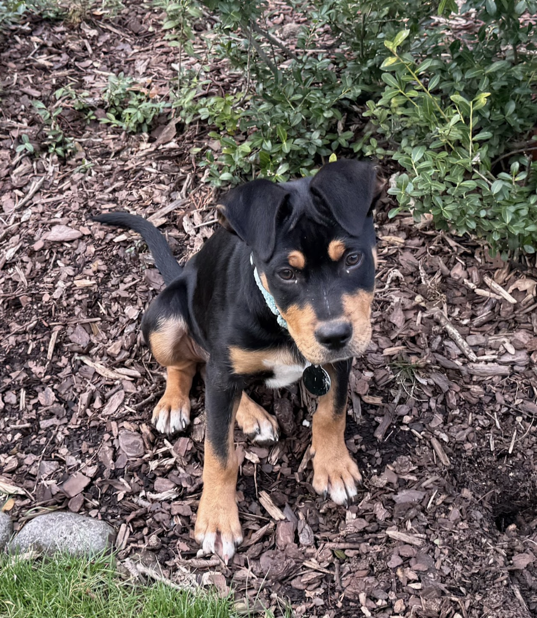 Screenshot 2026-02-27 at 2.14.17 PM.png