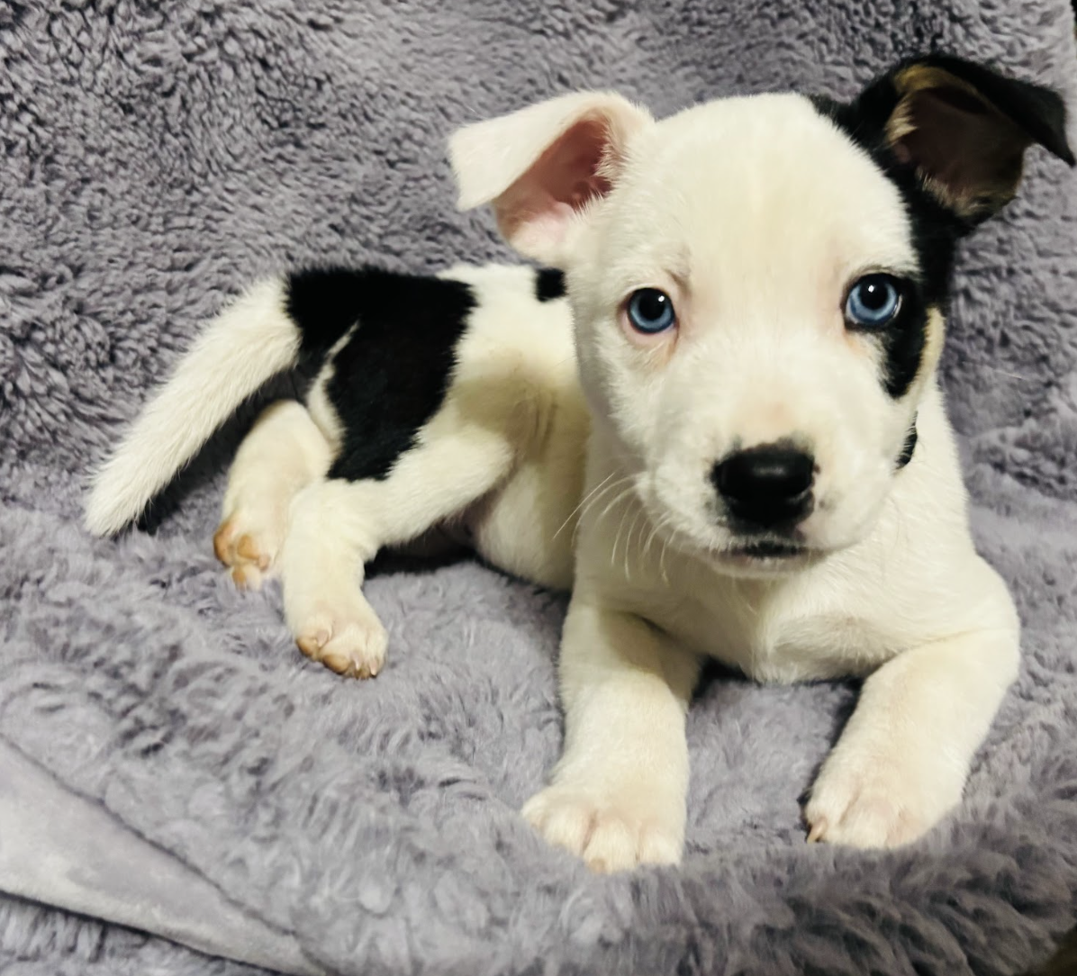 Screenshot 2026-01-15 at 7.49.38 PM.png