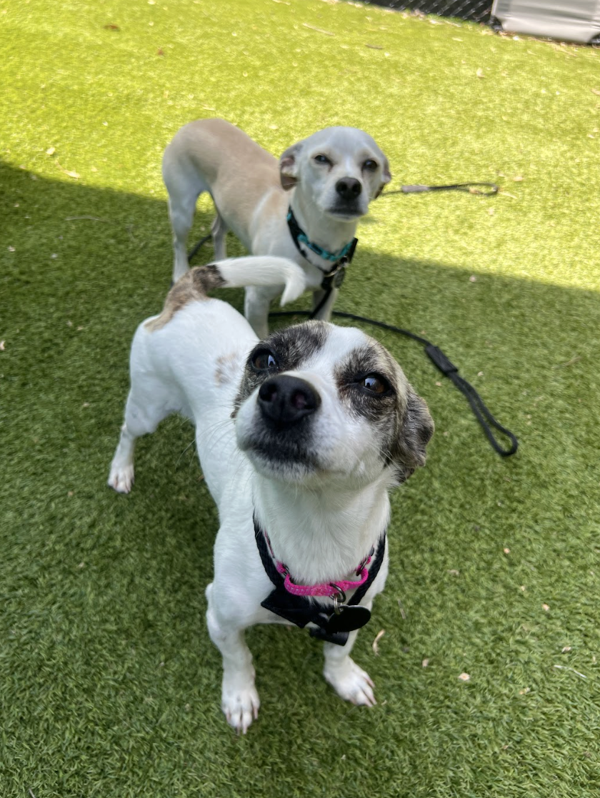 Screenshot 2026-04-09 at 6.42.57 PM.png