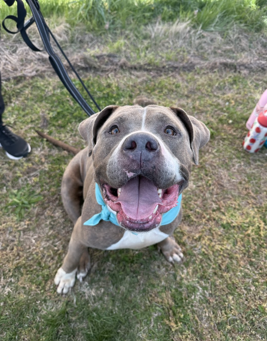 Screenshot 2026-04-13 at 3.02.50 PM.png