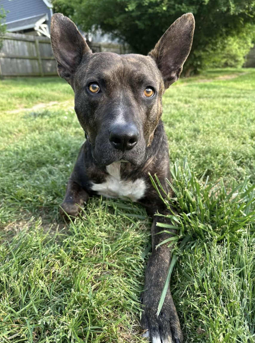 Screenshot 2026-04-22 at 4.41.39 PM.png