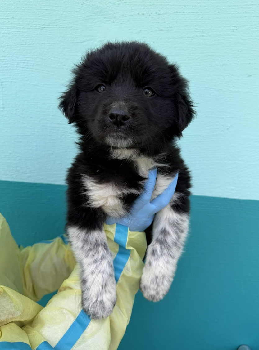 Screenshot 2026-04-13 at 2.38.02 PM.png