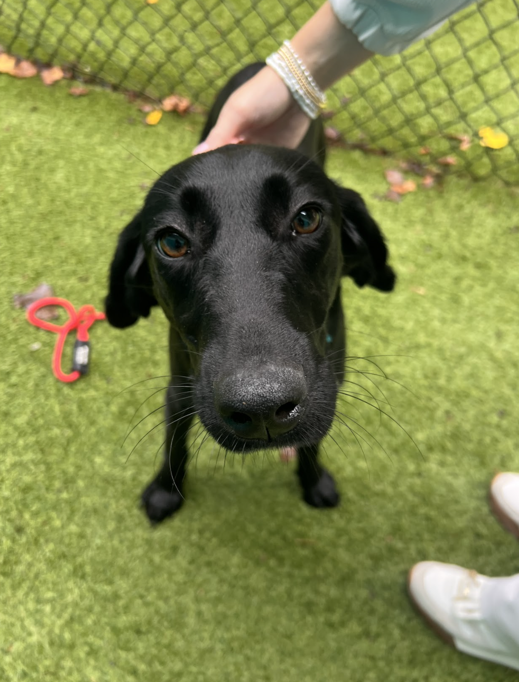 Screenshot 2025-11-04 at 3.34.16 PM.png