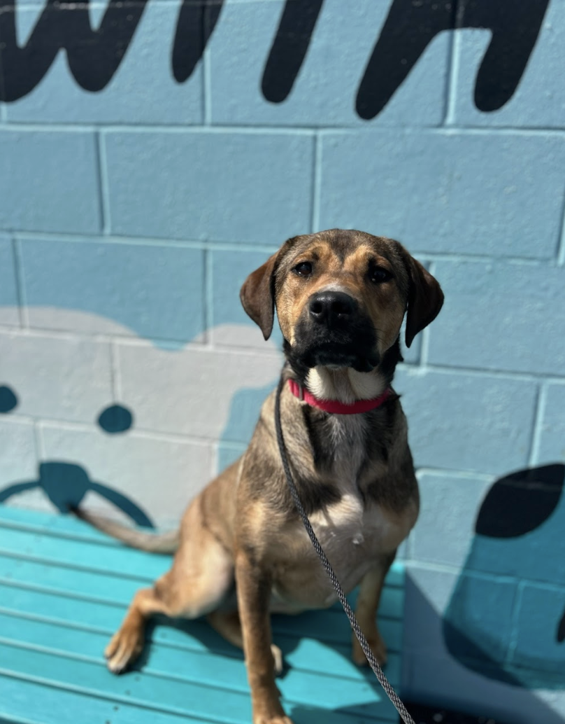 Screenshot 2026-03-14 at 5.10.32 PM.png