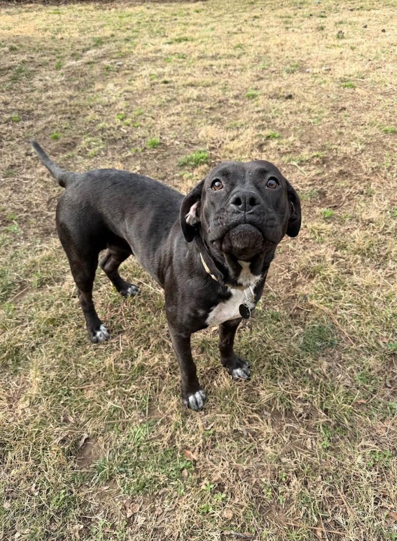 Screenshot 2026-01-14 at 12.24.49 PM.png