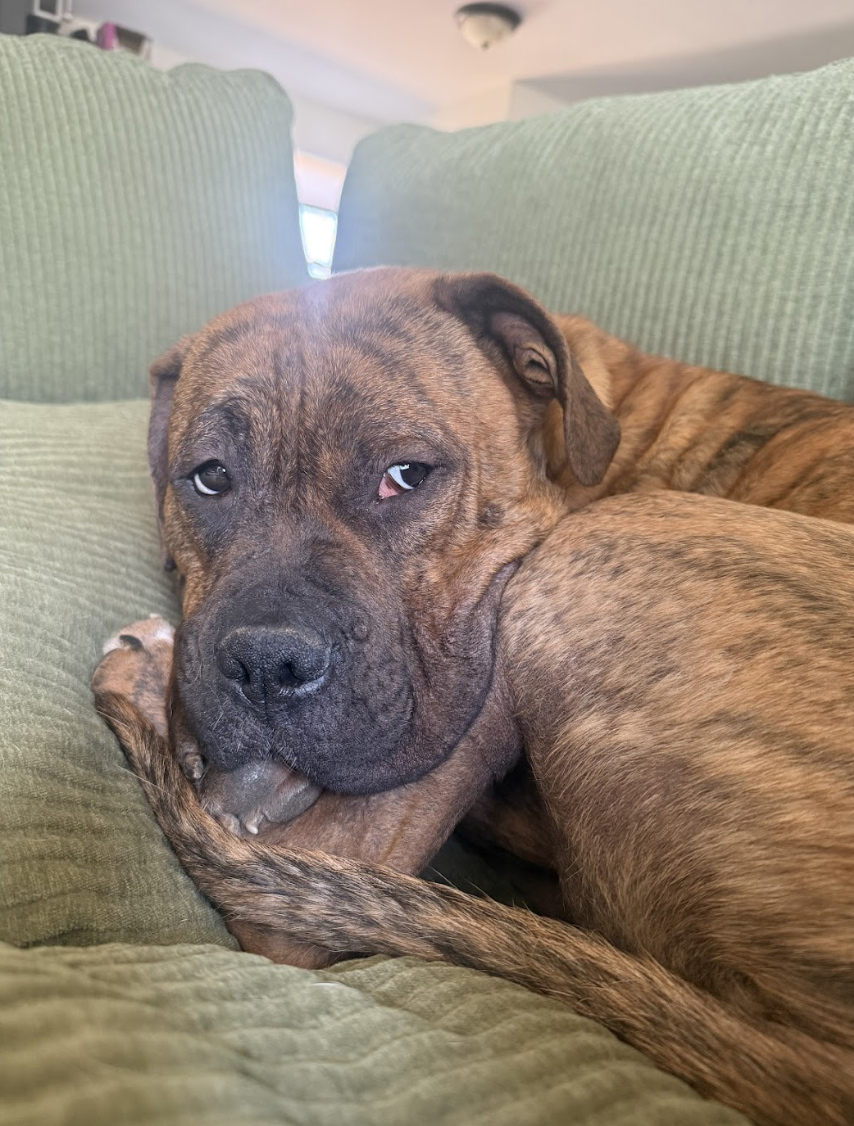 Screenshot 2026-02-26 at 2.19.01 PM.png