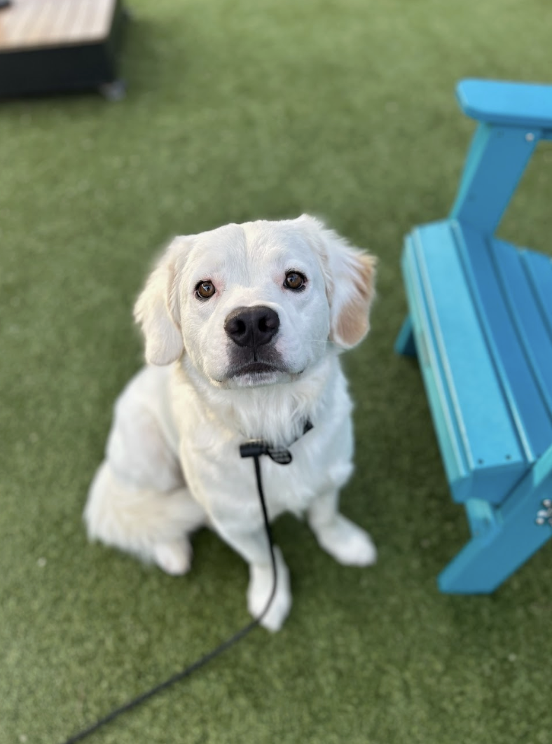 Screenshot 2026-03-26 at 2.47.09 PM.png