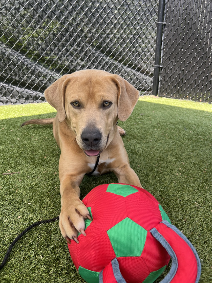 Screenshot 2026-04-09 at 6.41.59 PM.png