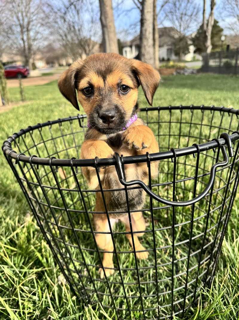 Screenshot 2026-01-17 at 2.49.28 PM.png