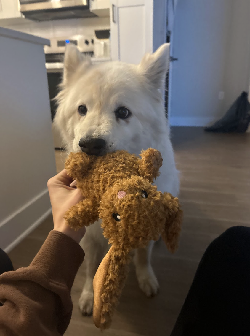 Screenshot 2026-03-24 at 12.30.17 PM.png