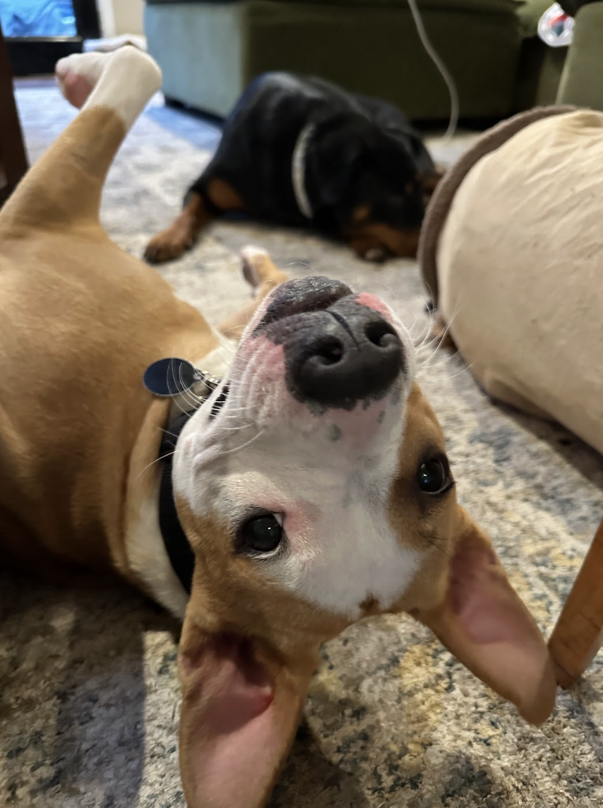 Screenshot 2026-03-06 at 2.37.34 PM.png