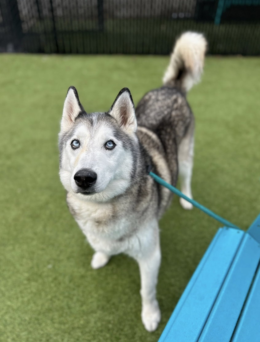 Screenshot 2026-03-11 at 6.44.29 PM.png