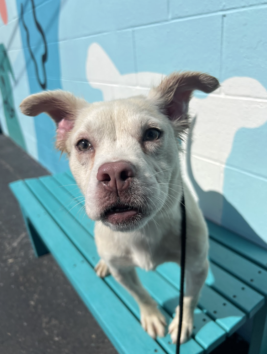 Screenshot 2026-03-26 at 2.09.41 PM.png