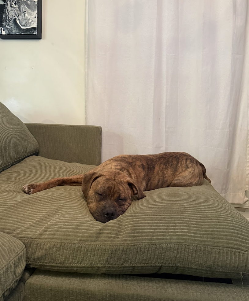 Screenshot 2026-02-26 at 2.19.09 PM.png