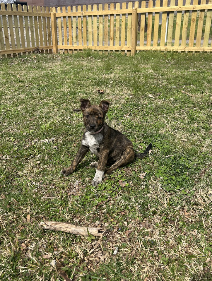 Screenshot 2026-03-12 at 2.53.43 PM.png