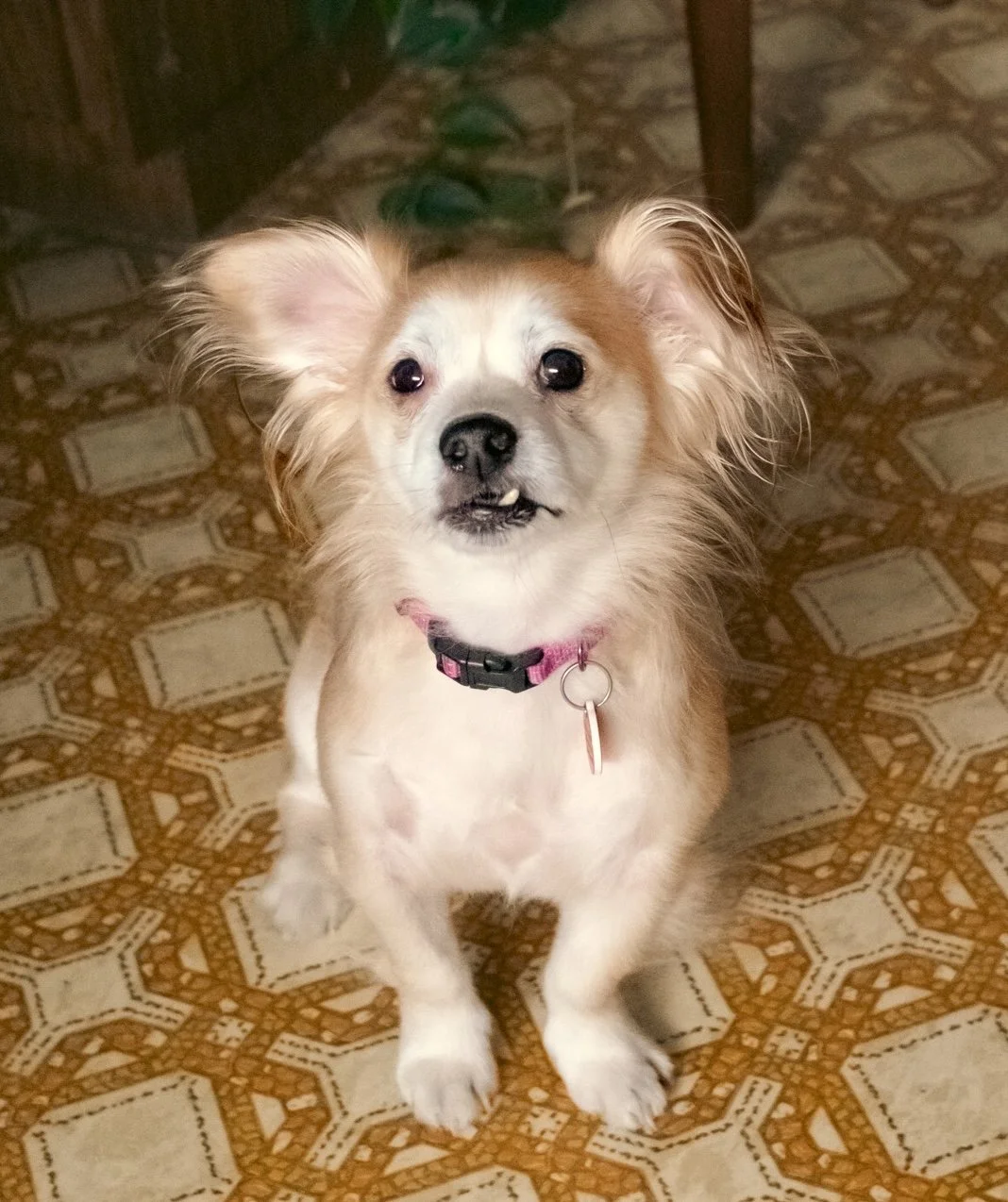 DSCF0165.jpg
